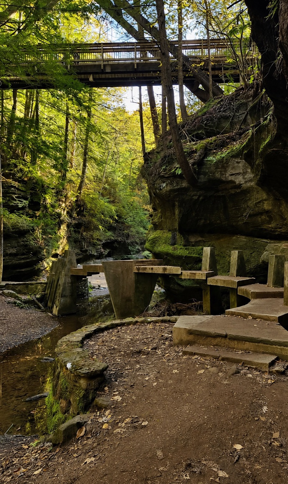 Peaceful mossy forest gorge with a stream